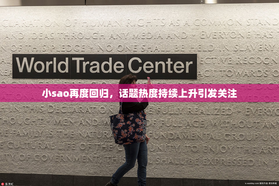 小sao再度回归，话题热度持续上升引发关注