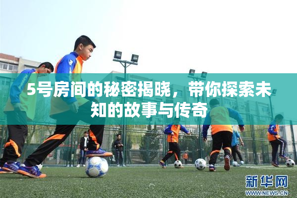 5号房间的秘密揭晓，带你探索未知的故事与传奇