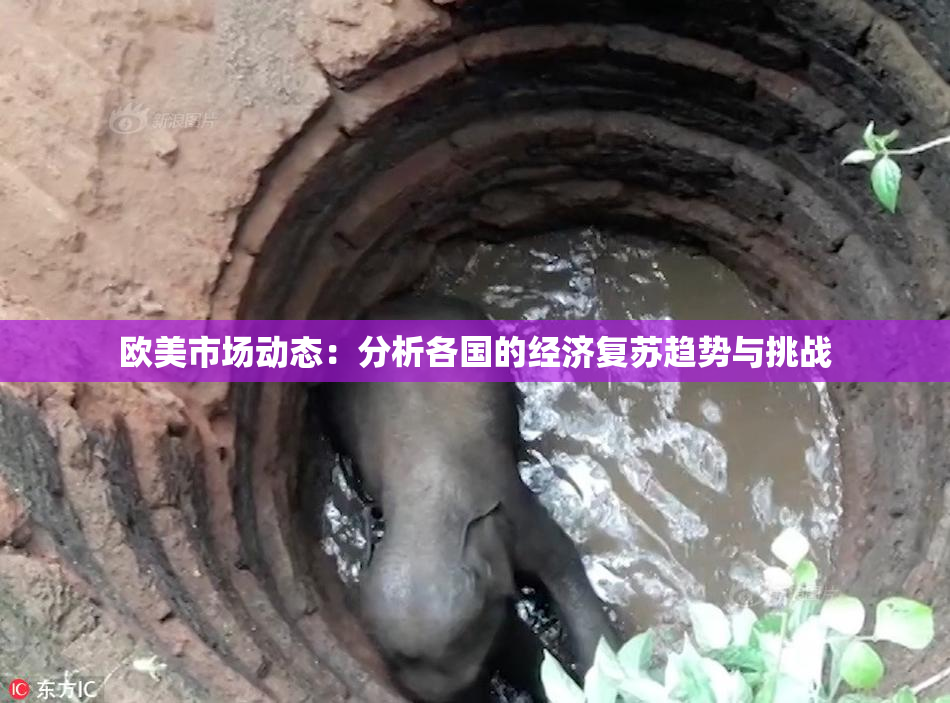 欧美市场动态：分析各国的经济复苏趋势与挑战