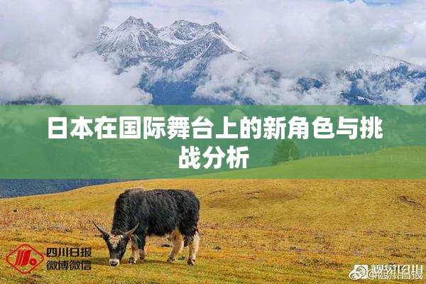 日本在国际舞台上的新角色与挑战分析