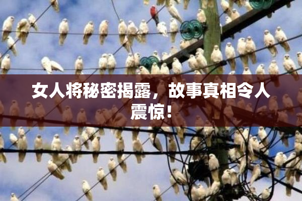 女人将秘密揭露，故事真相令人震惊！