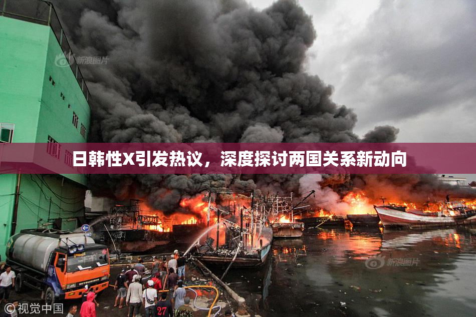 日韩性X引发热议，深度探讨两国关系新动向