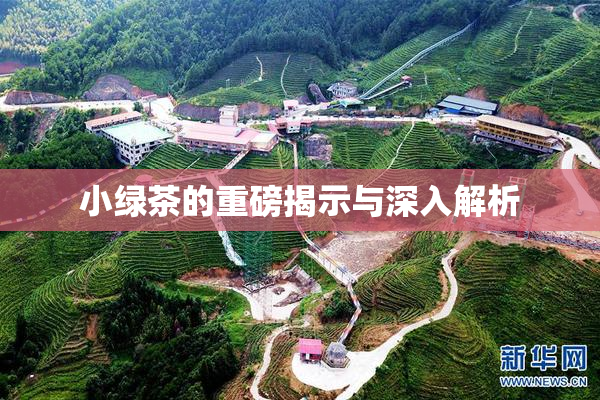 小绿茶的重磅揭示与深入解析