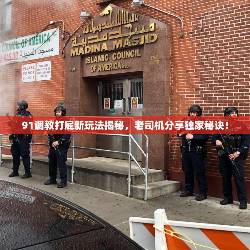 91调教打屁新玩法揭秘，老司机分享独家秘诀！