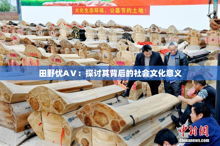 田野忧AⅤ：探讨其背后的社会文化意义