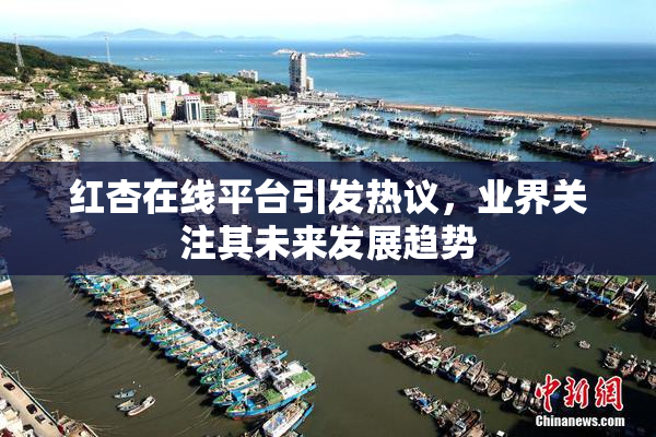 红杏在线平台引发热议，业界关注其未来发展趋势