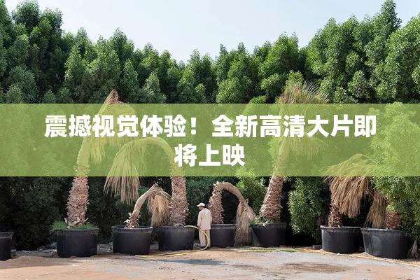 震撼视觉体验！全新高清大片即将上映