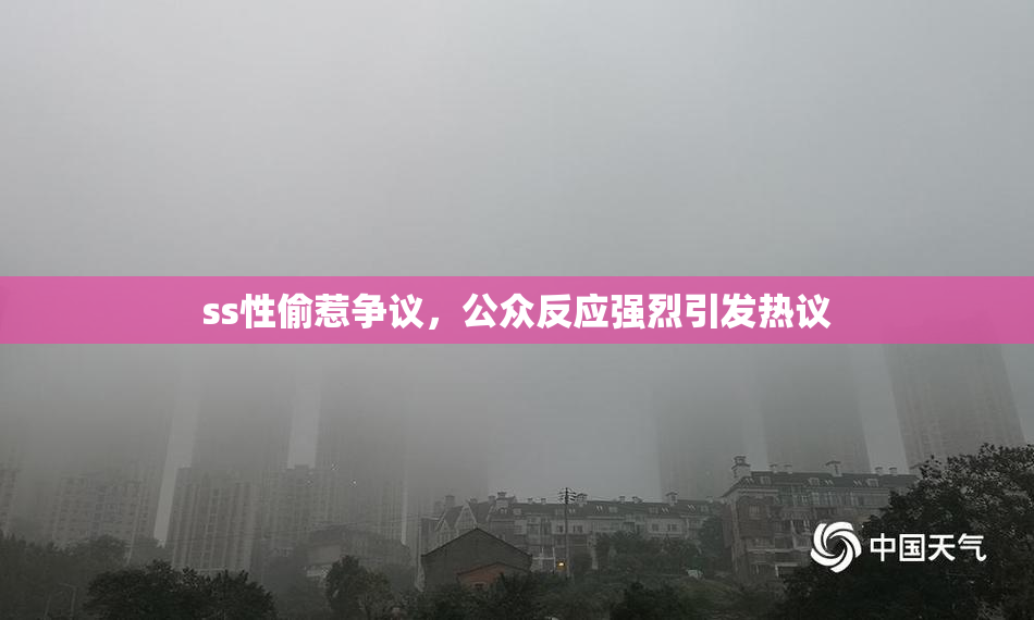 ss性偷惹争议，公众反应强烈引发热议