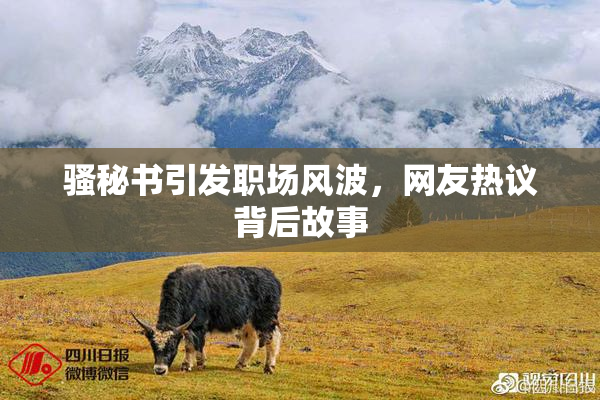 骚秘书引发职场风波，网友热议背后故事