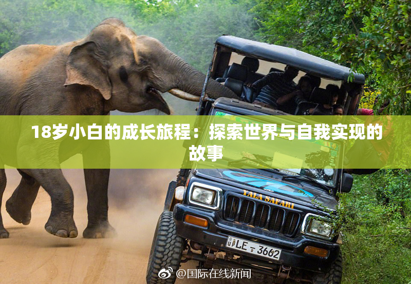 18岁小白的成长旅程：探索世界与自我实现的故事