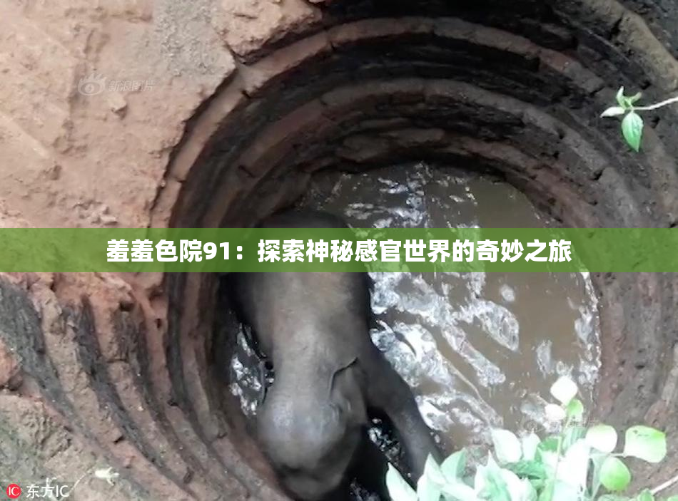 羞羞色院91：探索神秘感官世界的奇妙之旅