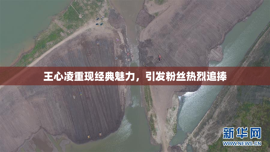 王心凌重现经典魅力，引发粉丝热烈追捧