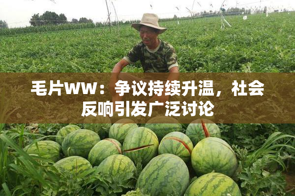 毛片WW：争议持续升温，社会反响引发广泛讨论