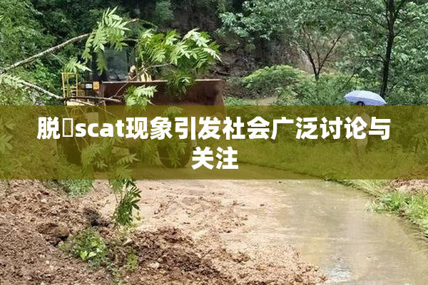 脱糞scat现象引发社会广泛讨论与关注
