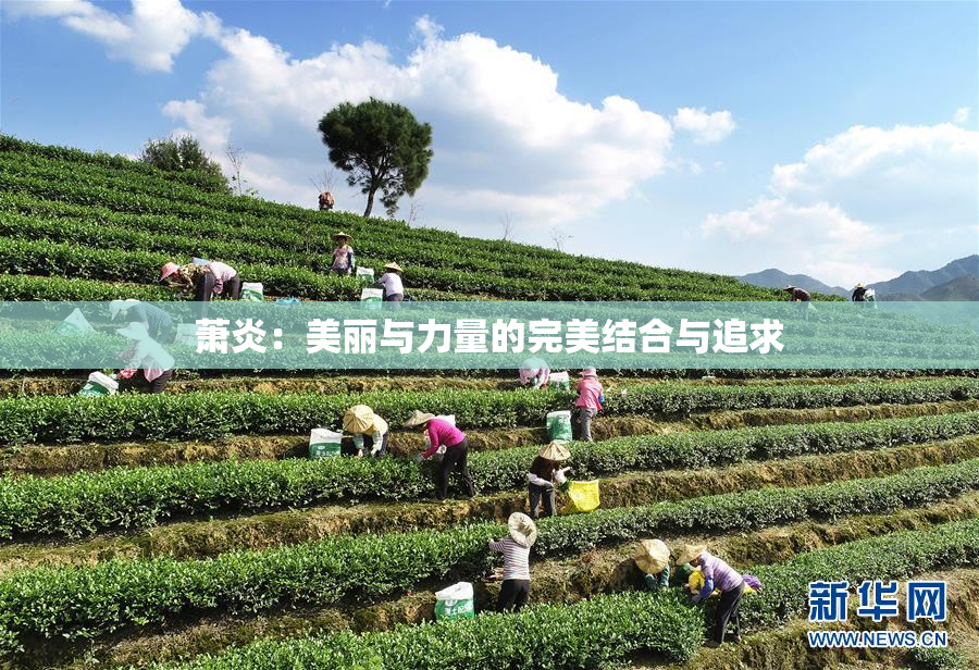 萧炎：美丽与力量的完美结合与追求