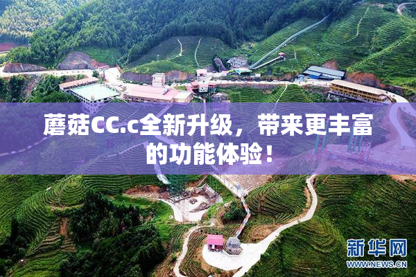蘑菇CC.c全新升级，带来更丰富的功能体验！