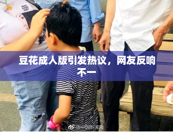 豆花成人版引发热议，网友反响不一