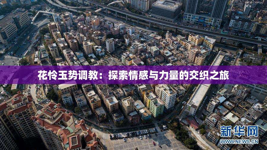 花怜玉势调教：探索情感与力量的交织之旅