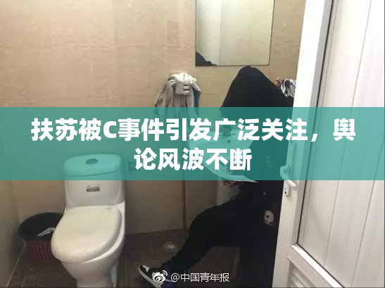 扶苏被C事件引发广泛关注，舆论风波不断