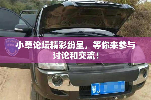 小草论坛精彩纷呈，等你来参与讨论和交流！