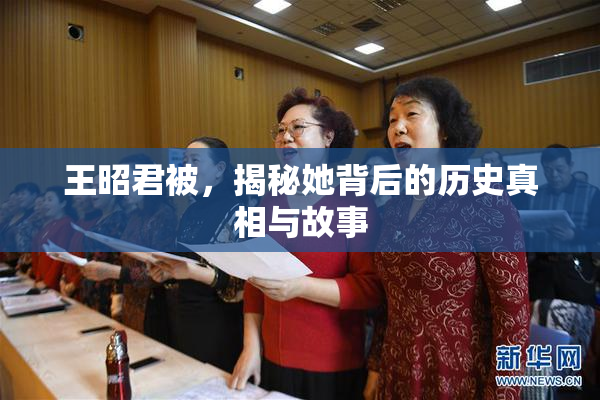 王昭君被，揭秘她背后的历史真相与故事