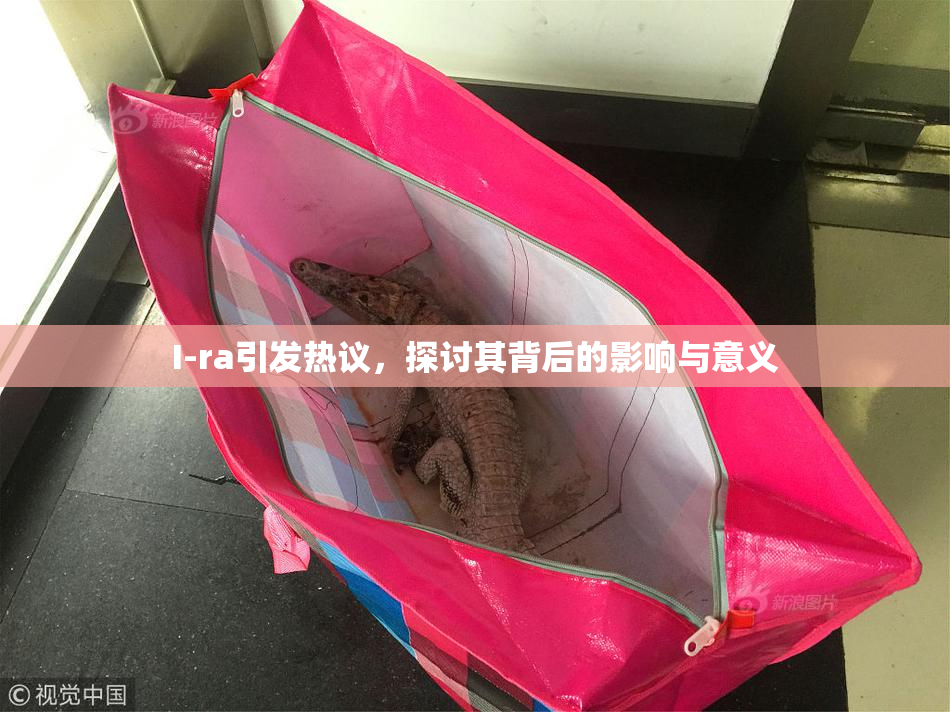 I-ra引发热议，探讨其背后的影响与意义