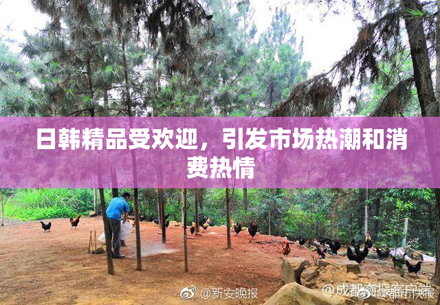 日韩精品受欢迎，引发市场热潮和消费热情