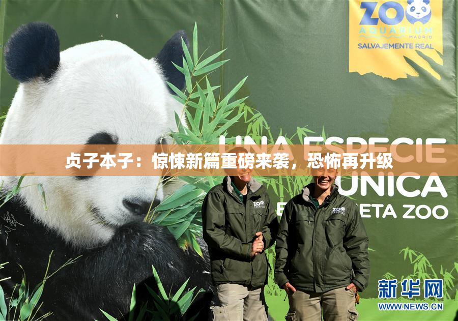 贞子本子：惊悚新篇重磅来袭，恐怖再升级