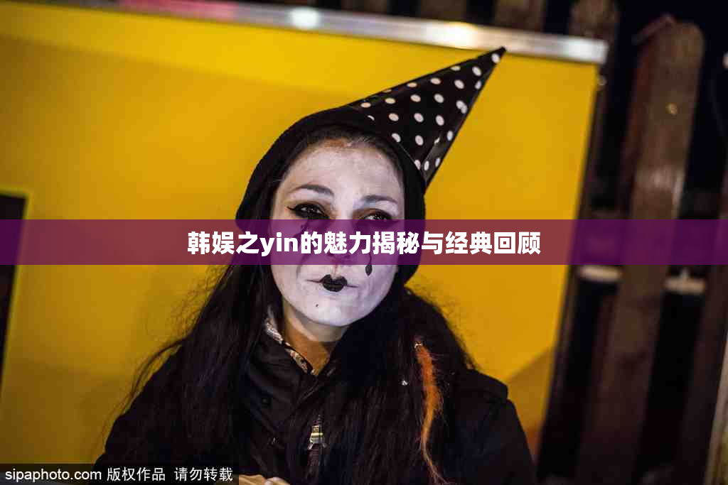 韩娱之yin的魅力揭秘与经典回顾