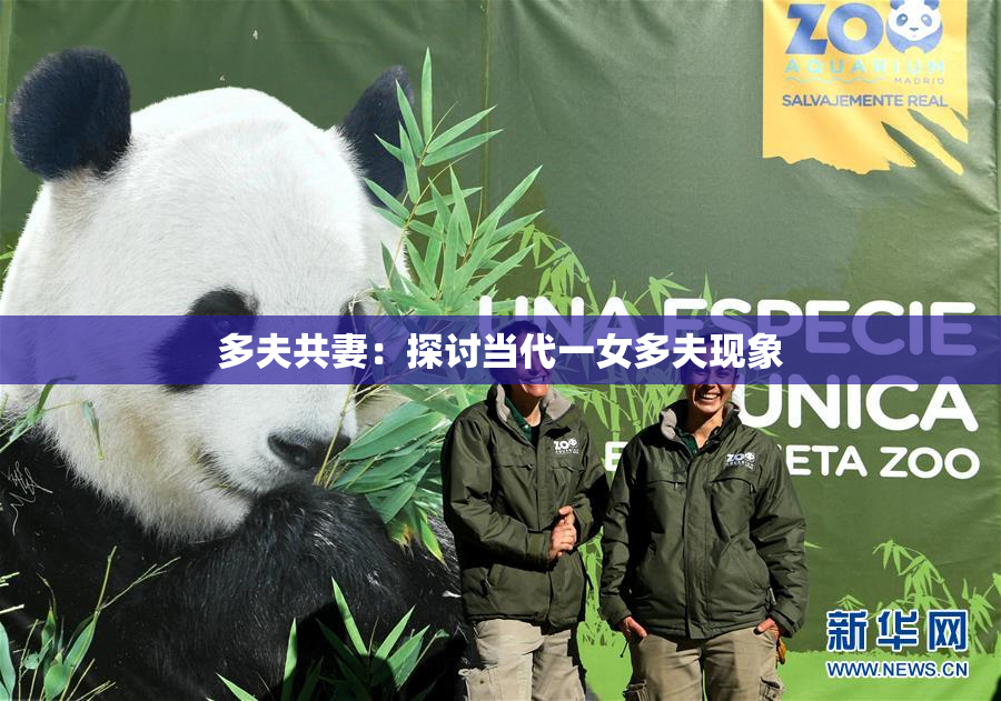 多夫共妻：探讨当代一女多夫现象