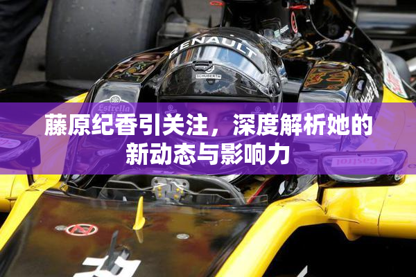 藤原纪香引关注，深度解析她的新动态与影响力