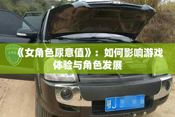 《女角色尿意值》：如何影响游戏体验与角色发展