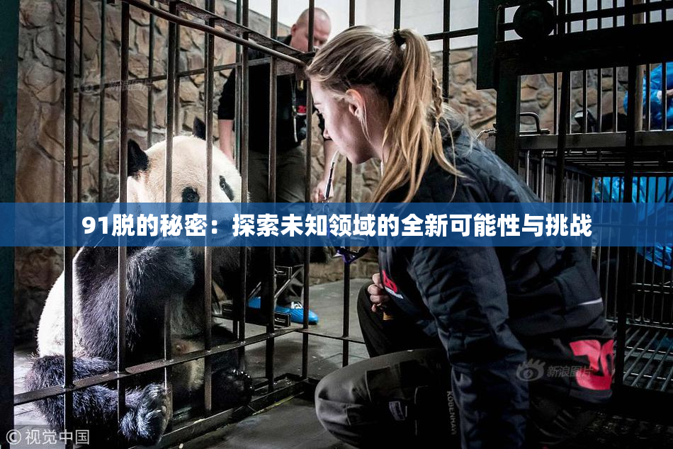 91脱的秘密：探索未知领域的全新可能性与挑战