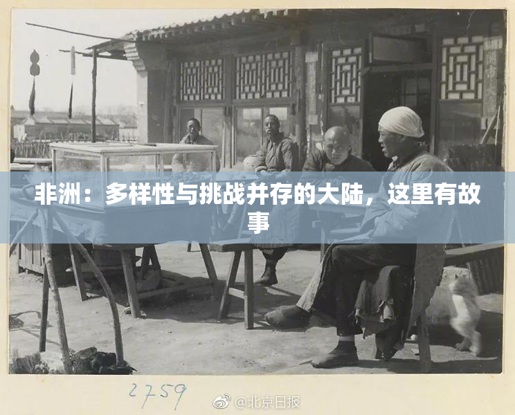 非洲：多样性与挑战并存的大陆，这里有故事