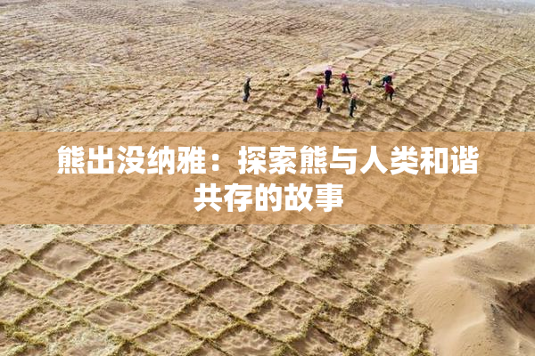 熊出没纳雅：探索熊与人类和谐共存的故事