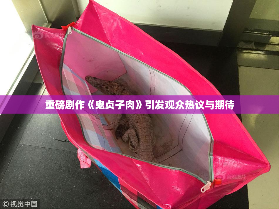 重磅剧作《鬼贞子肉》引发观众热议与期待