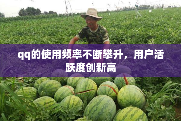 qq的使用频率不断攀升，用户活跃度创新高