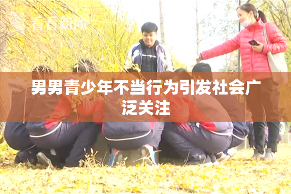 男男青少年不当行为引发社会广泛关注