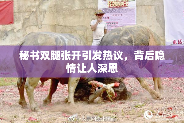 秘书双腿张开引发热议，背后隐情让人深思