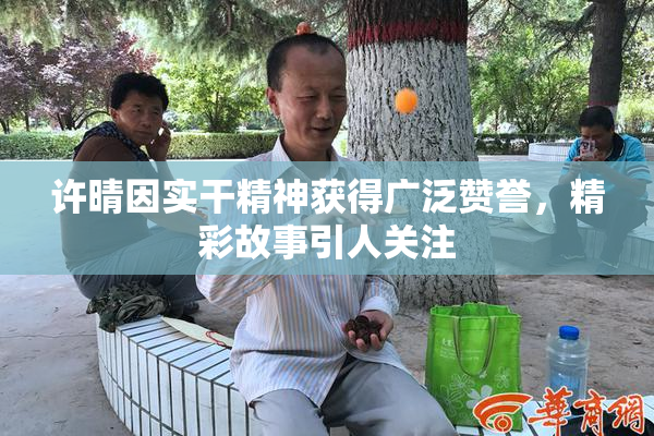 许晴因实干精神获得广泛赞誉，精彩故事引人关注