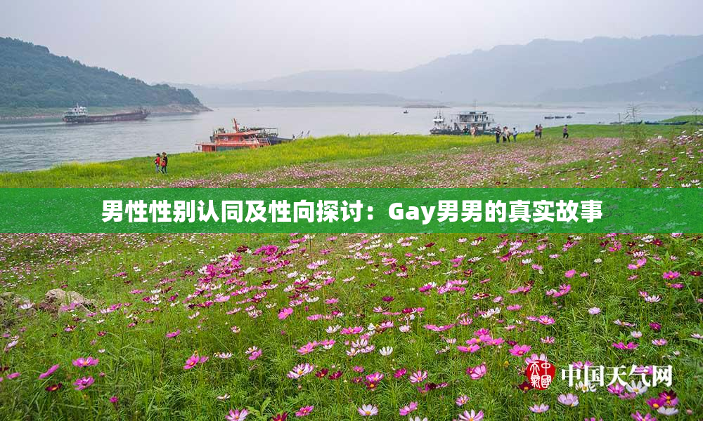 男性性别认同及性向探讨：Gay男男的真实故事