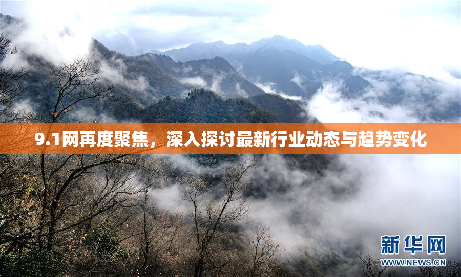 9.1网再度聚焦，深入探讨最新行业动态与趋势变化