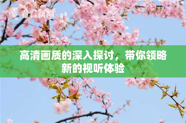 高清画质的深入探讨，带你领略新的视听体验