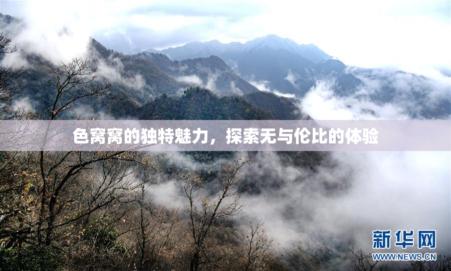 色窝窝的独特魅力，探索无与伦比的体验