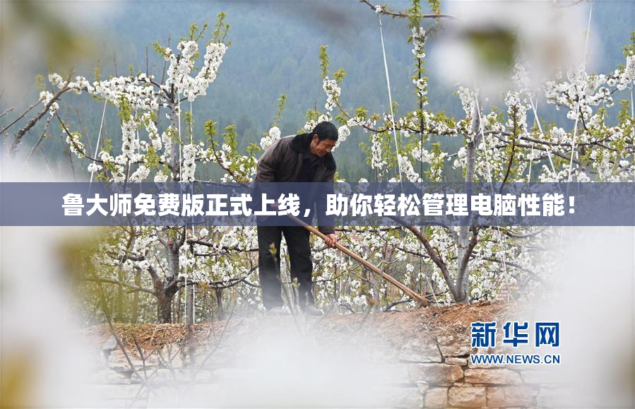 鲁大师免费版正式上线，助你轻松管理电脑性能！