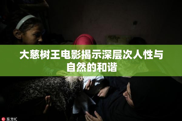 大慈树王电影揭示深层次人性与自然的和谐