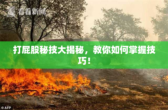 打屁股秘技大揭秘，教你如何掌握技巧！
