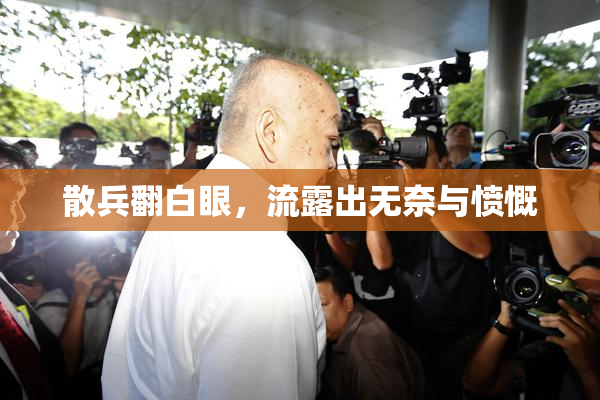 散兵翻白眼，流露出无奈与愤慨