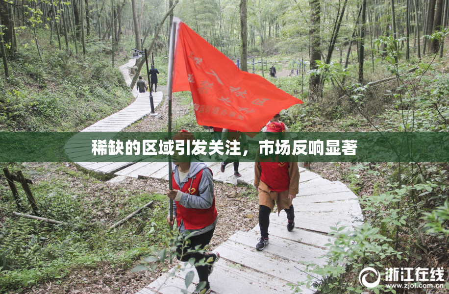 稀缺的区域引发关注，市场反响显著