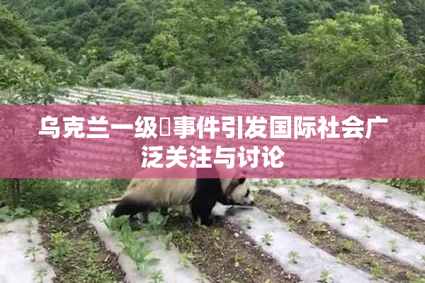 乌克兰一级婬事件引发国际社会广泛关注与讨论